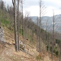 Puchberg - Edelweißhütte