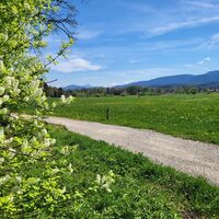 Richtung Festenbach