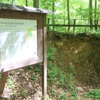 Auf der Suche nach dem Flammenmergel