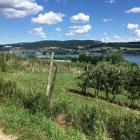 Blick vom Panoramaweg