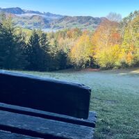 Freithofberg-Trail - Maria Neustift