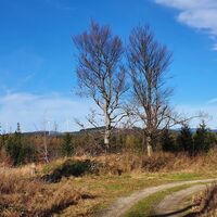 Windpark Sternwald
