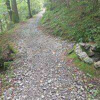 Bachquerung am Trail