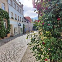 Mittelalter in Havelberg erleben