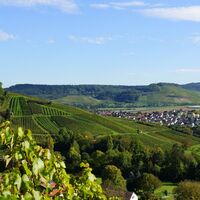 DSGVO WT Obersulm Weinberge Obersulm web