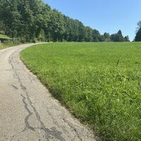 Gemarkungswanderung entlang der Gemarkung Mutlangen