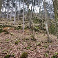 In der Wolfsschlucht