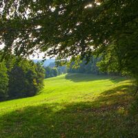 Moosalbwanderweg
