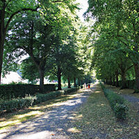 Allee im Friedhof