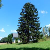 Gschaidt - Pichl - Schlag - Mönichkirchen