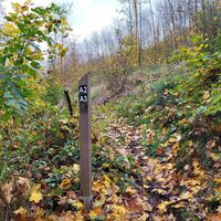 Wandern auf den Weddelbergrundwegen