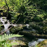 Losenstein-Hohe Dirn Trail