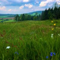 Wanderweg Richtung Crottendorf vom Firstenweg kommend