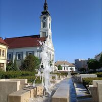 Bajai Római Katolikus Plébániatemplom, Baja