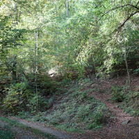 am Eselsteig hoch
