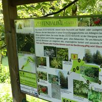 pflanzen RIECHEN (c) MG Laßnitzhöhe  (36).JPG