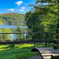 Waldsofa an der Fürwiggetalsperre