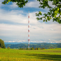 Immer wieder schweift der Blick zu den Alpen