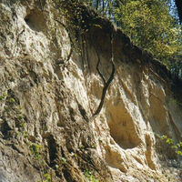 Loesswand-web
