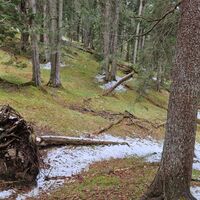 Der Sattel zwischen Mittelberg und Spitzigem Brand