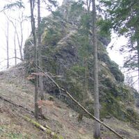 Hermannstein