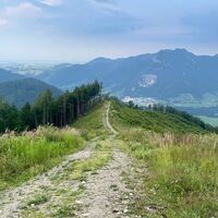 Hambaum Trail Leonstein