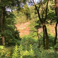 Alter Steinbruch Waldprechtsweier