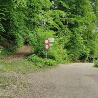 9.0 km Links zur Schillerin