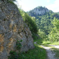 weiter auf der Forststraße