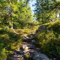 Kolinpfad bei Ryläys