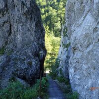 Aufstieg Schönbrunnerstiege