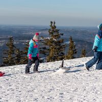 Rodeln am Hörnle