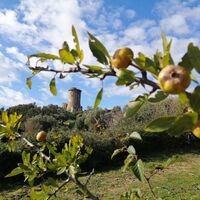 PANORAMABLICK VOM ARCHÄOLOGISCHEN PARK ELEA/VELIA
