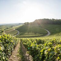 DSGVO Z Brackenheim Weinkonvent D rrenzimmern Weinberge WEB