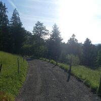 Im Schwendevorsäß bei Schetteregg