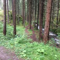 Klausbodenrunde weiter (2).JPG