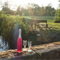 An der Viehtraenke „Gäuleloch“ - Die Bank an der ehemaligen Viehtränke für Pferde bei Herxheimweyher bietet Ihnen einen idyllischen Blick in das Klingbachtal.