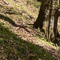Abstieg über Kramersteig