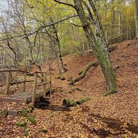 Am Brandsbach entlang