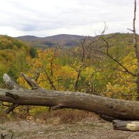 Blick ins Georgental zum westlichen Thüringer Wald