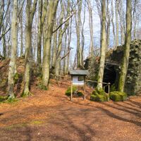 Besucher Burgruine Freudenkoppe