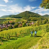 Pfälzer Weinsteig bei Leinsweiler