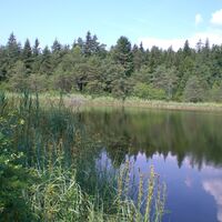 Kleiner See
