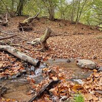 Wanderweg über die Glan