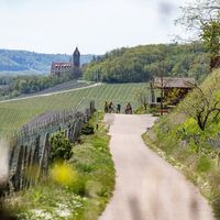 Neipperg