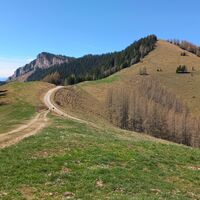 Tyrnauer Alm