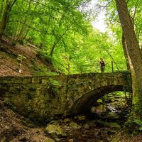 Brücke im Morgenbachtal