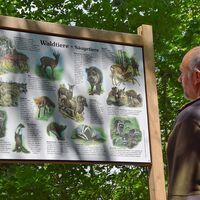 Informationstafel am Waldlehrpfad in Eisenach