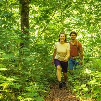 Auf dem Gäurandweg geht es hinab in die Stadt Nagold