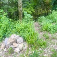Hambaum Trail Leonstein